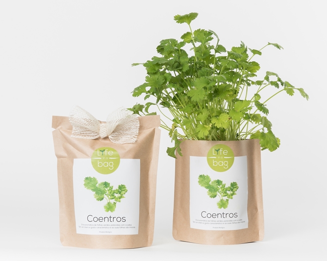Grow your own coriander in this bag