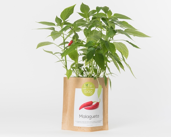 Grow your own chili pepper in this bag