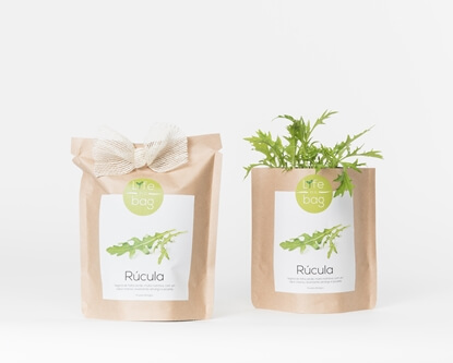 Grow your own rocket in this bag