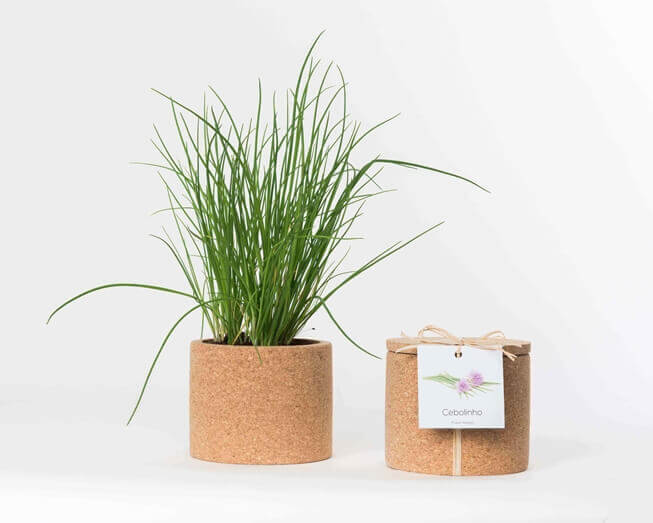 Grow your chives in this cork pot