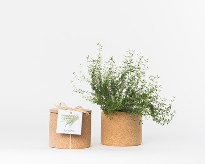 Grow your thyme in this cork pot