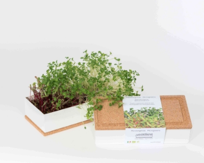 Picture for category Grow Box Microgreens