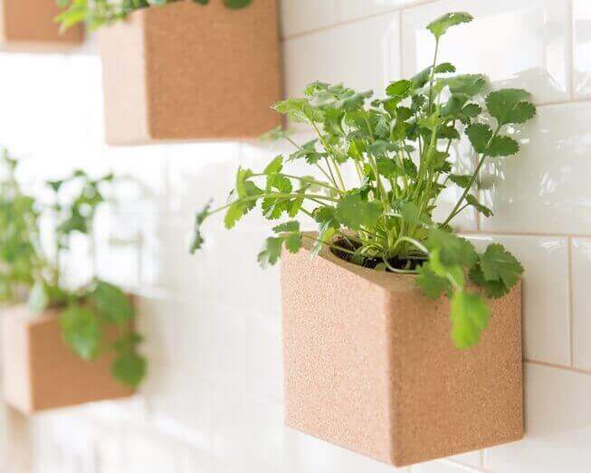 Grown your own vertical garden indoors with two pots from the cork block