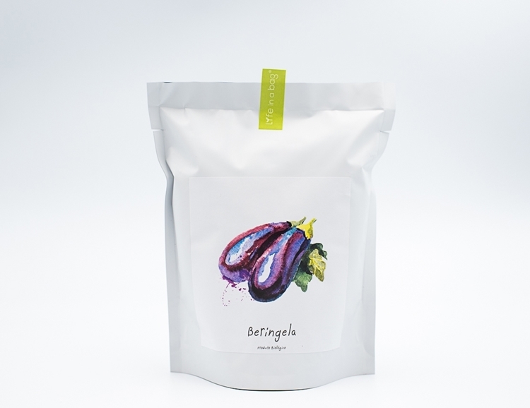 Grow bag para semear beringelas