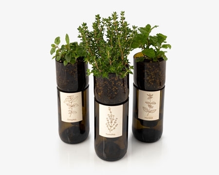 Image de la catégorie Grow Bottle Herbes