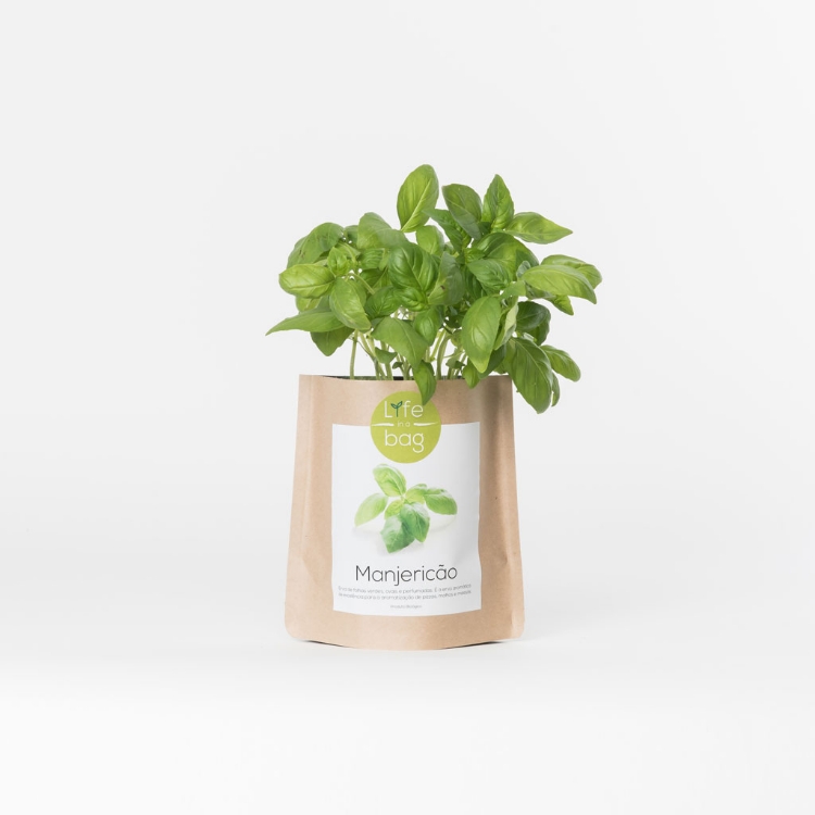 Grow your own basil in this bag