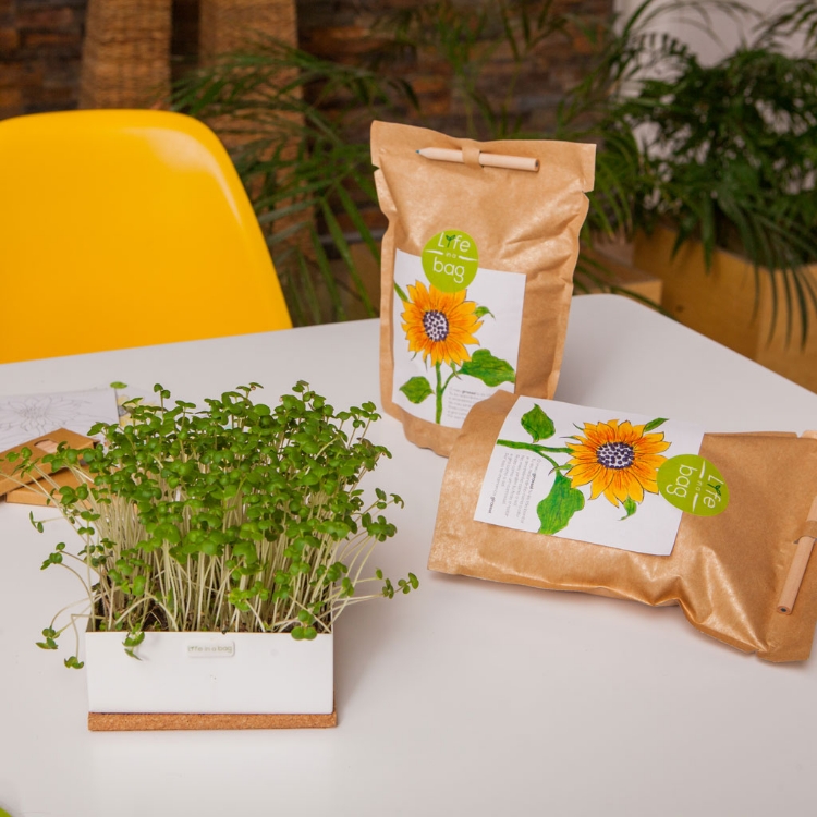 Grow your own sunflower in this bag