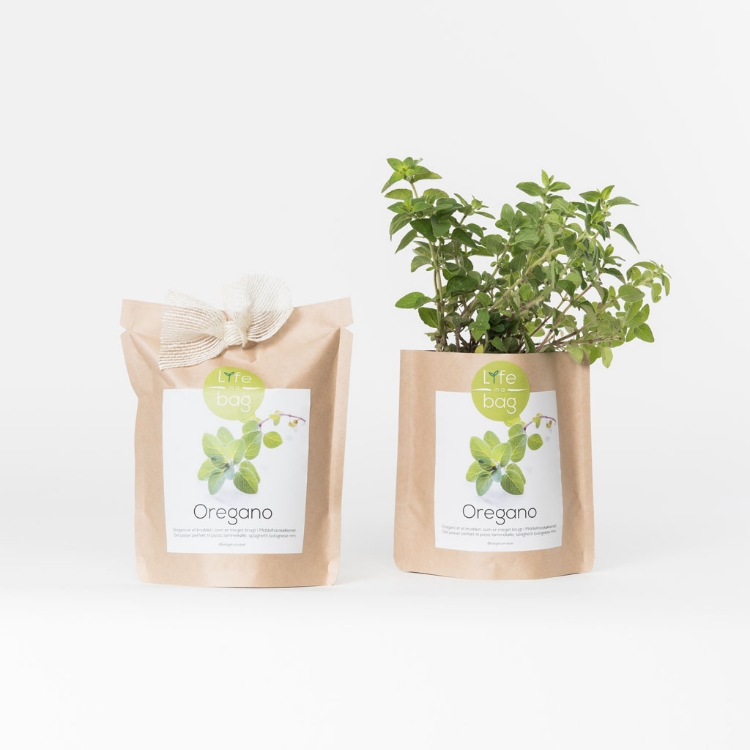 Grow your own oregano in this bag