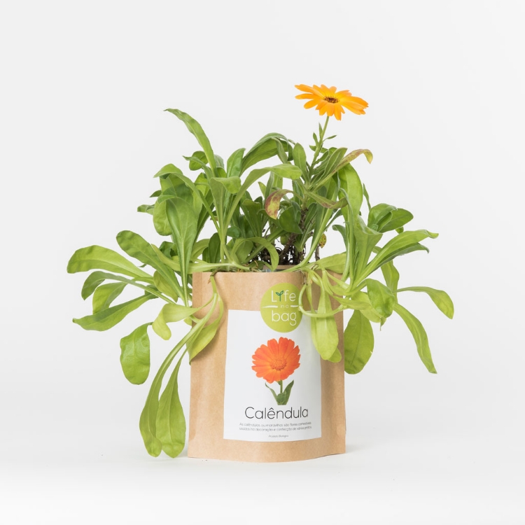 Grow your own calendula in this bag