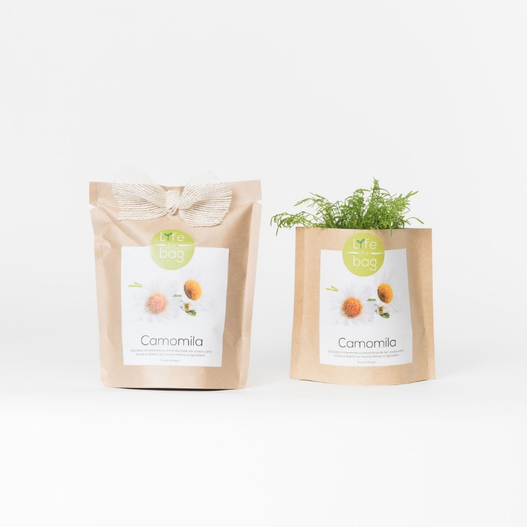 Grow your own chamomile in this bag