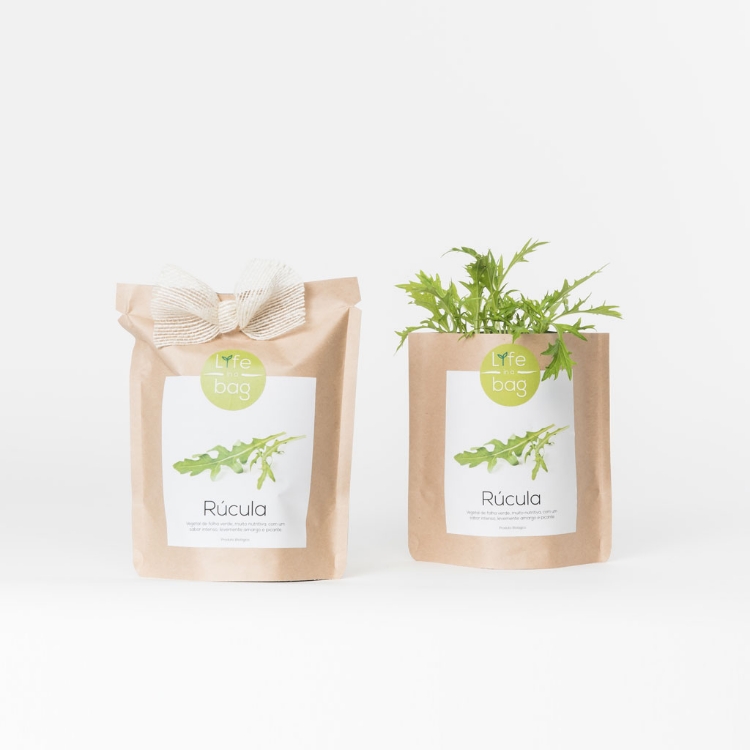 Grow your own rocket in this bag