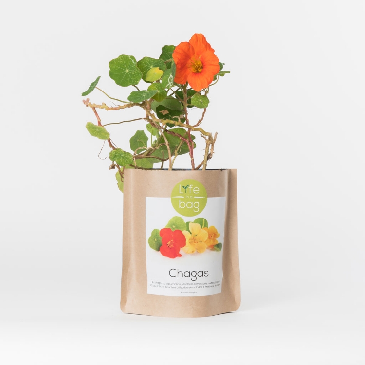 Grow your own nasturtium in this bag