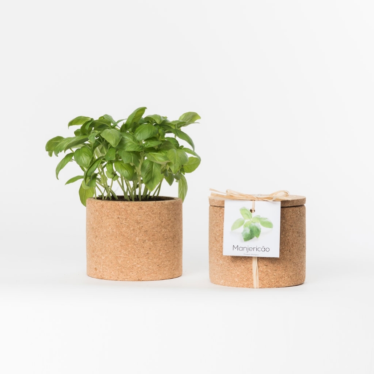 Grow your own  basil in this cork pot
