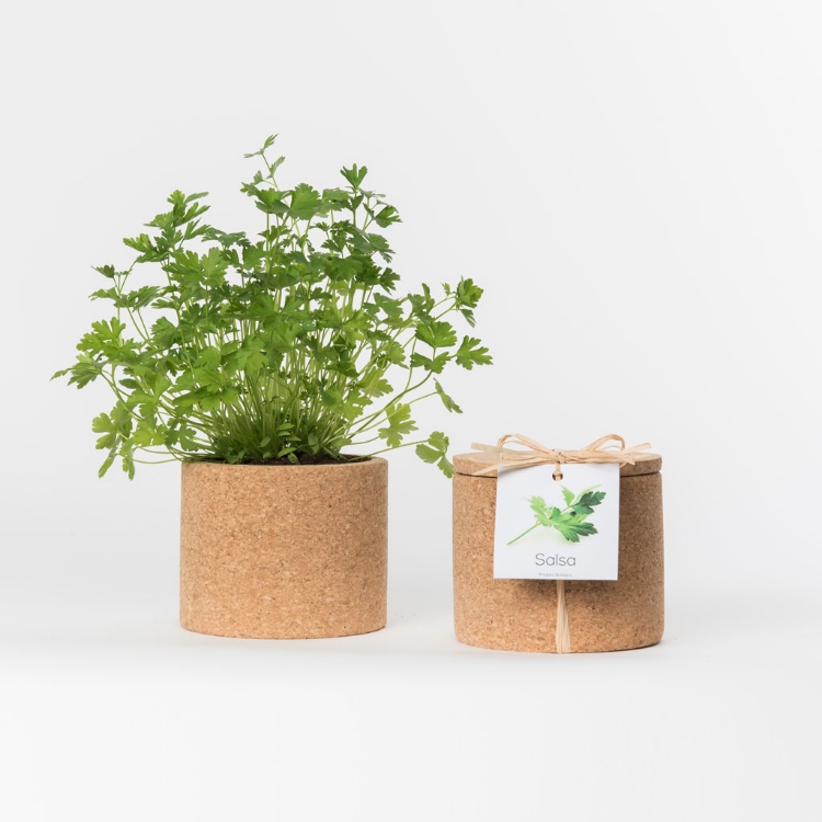 Grow your own parsley in this cork pot