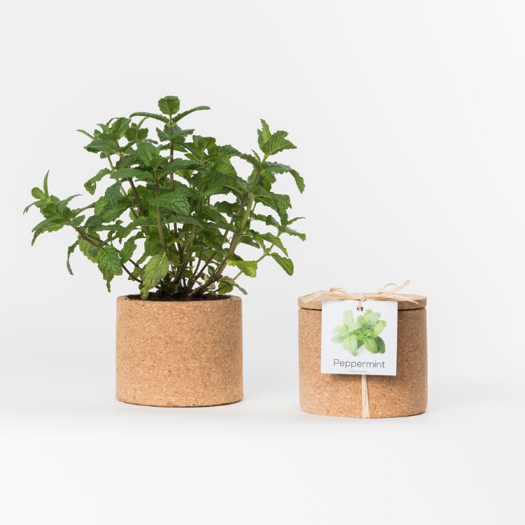 Grow your peppermint in this cork pot