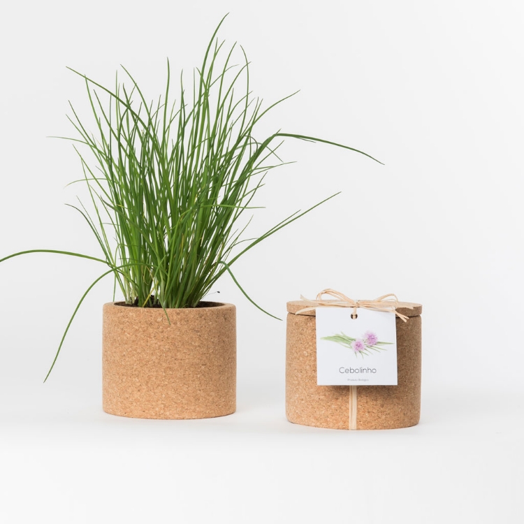 Grow your chives in this cork pot