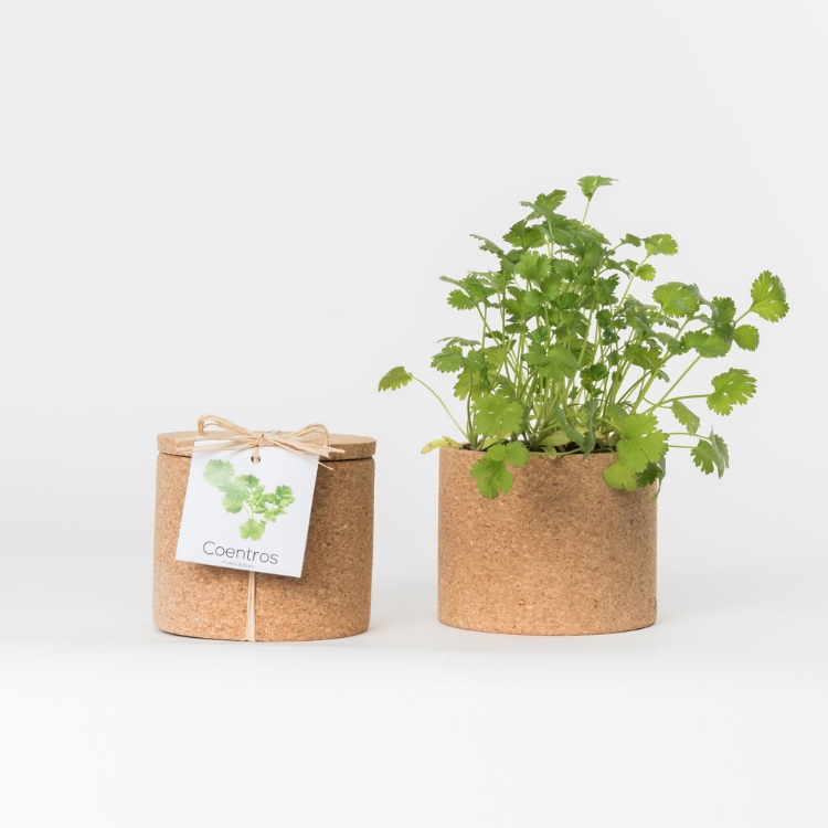	Grow your coriander in this cork pot