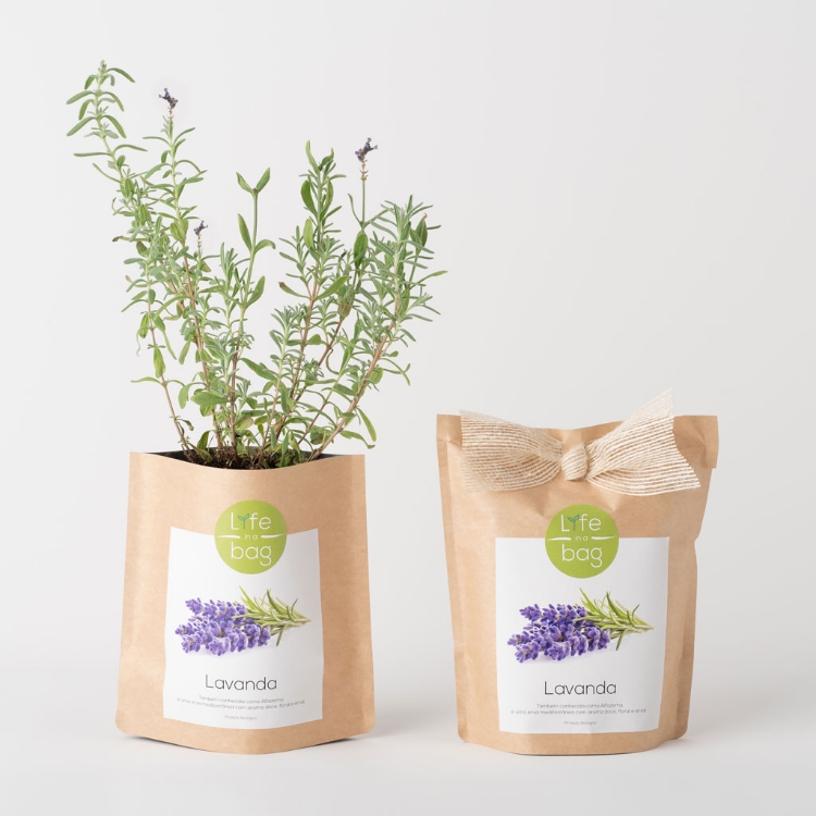 Imagem de Grow Bag Lavanda