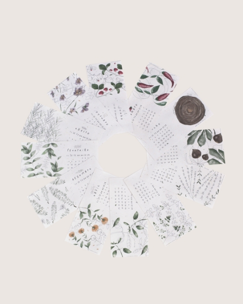 Imagem de Recarga Calendário 2026